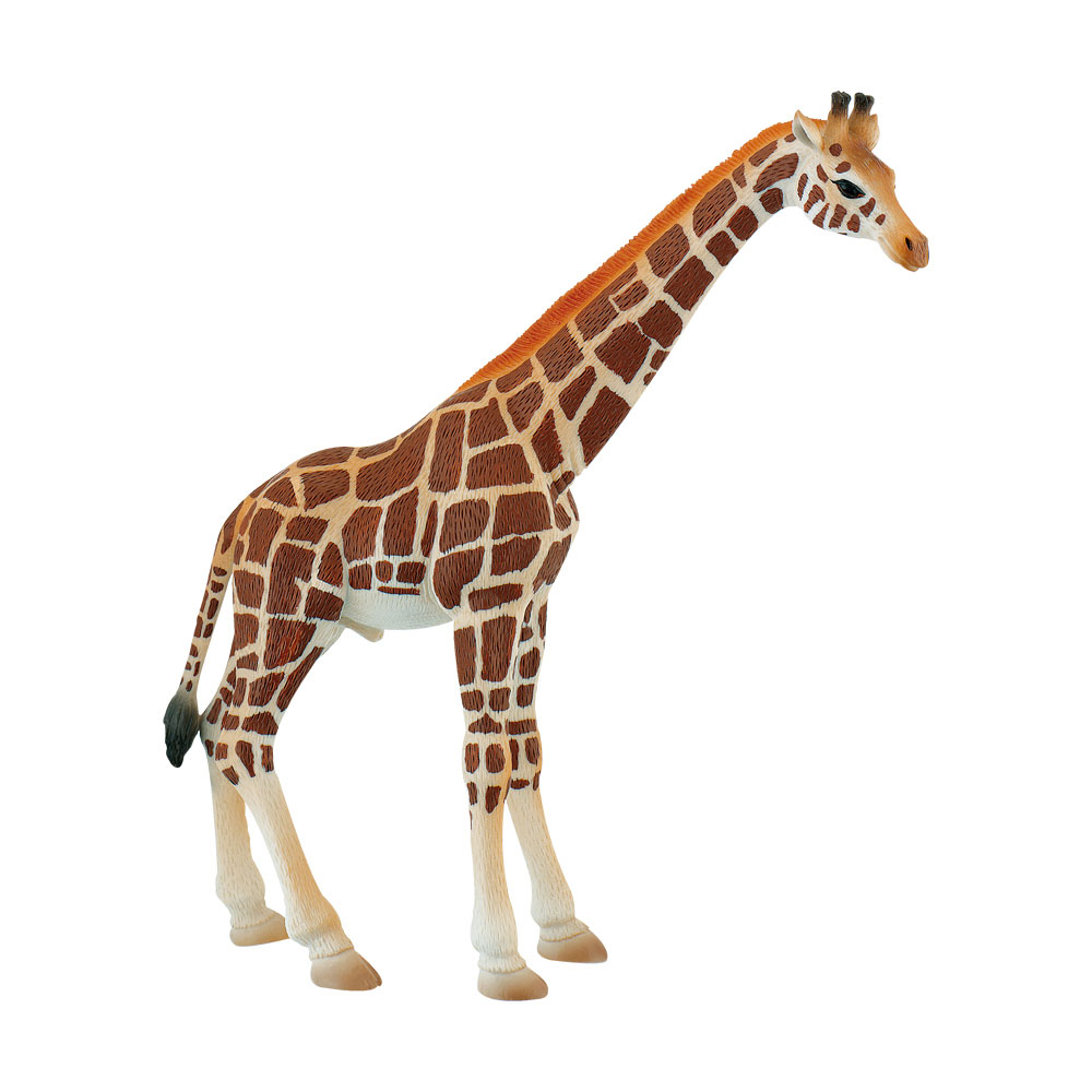 Girafa PVC