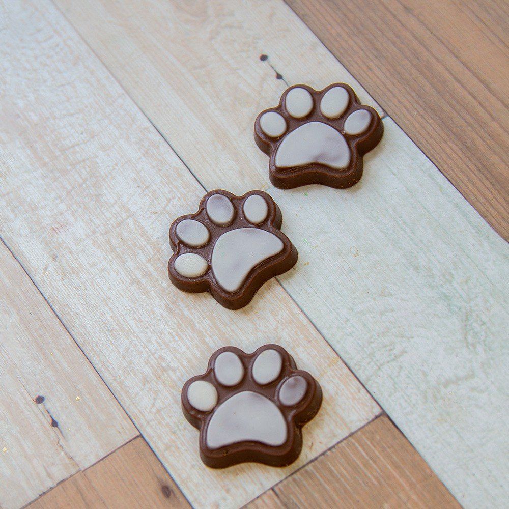 Molde para Chocolate Patinhas PET