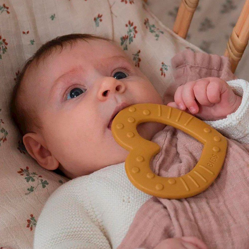 Mordedor Bibs Baby Bitie Star Blue