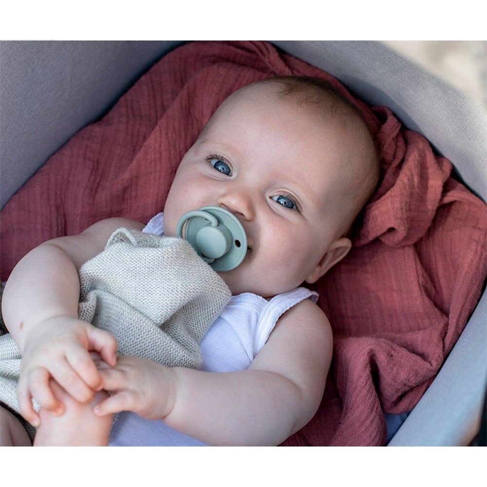 2 Chupetas Bibs De Lux Silicone Ivory /blush