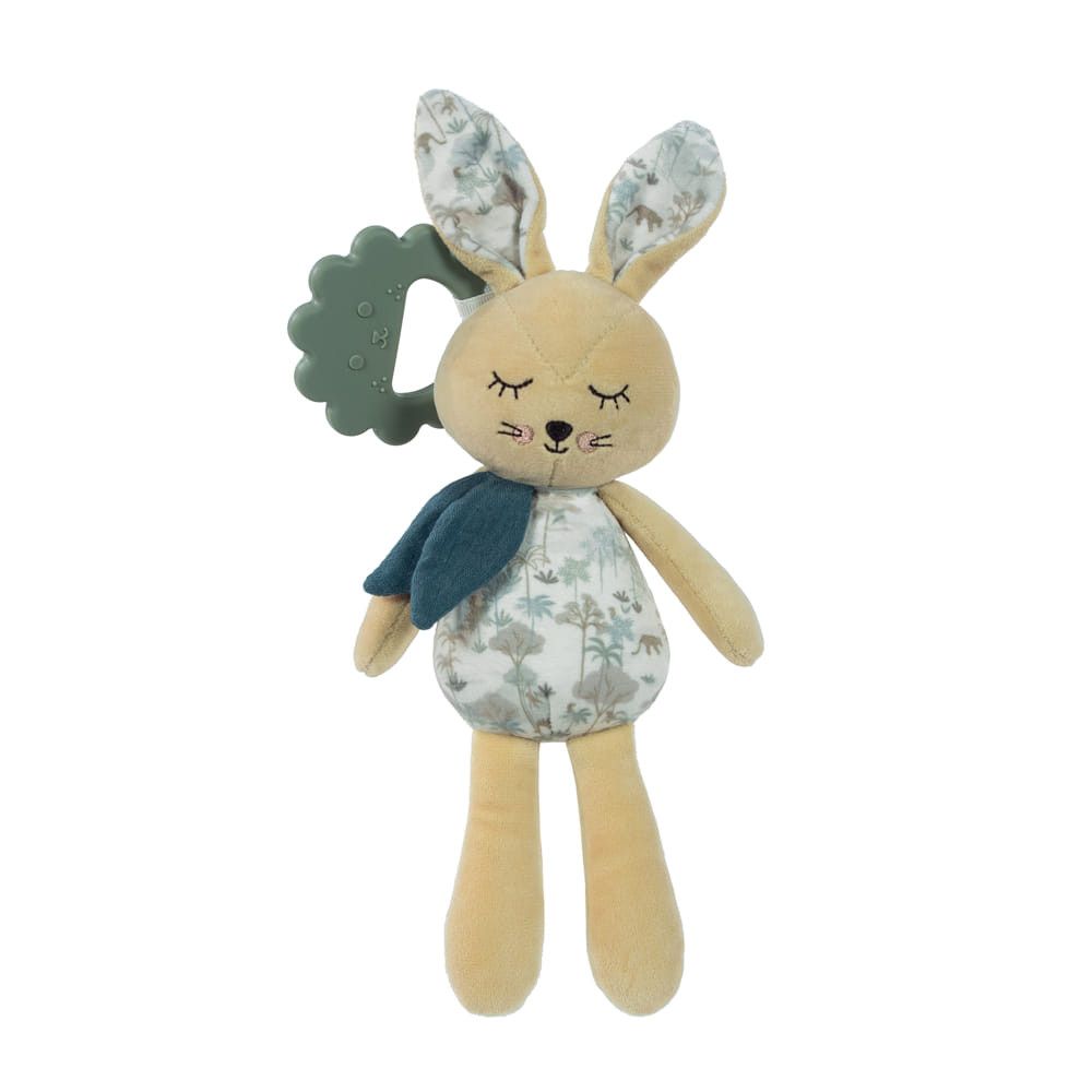 Coelho Mr, Rabbit Serengueti