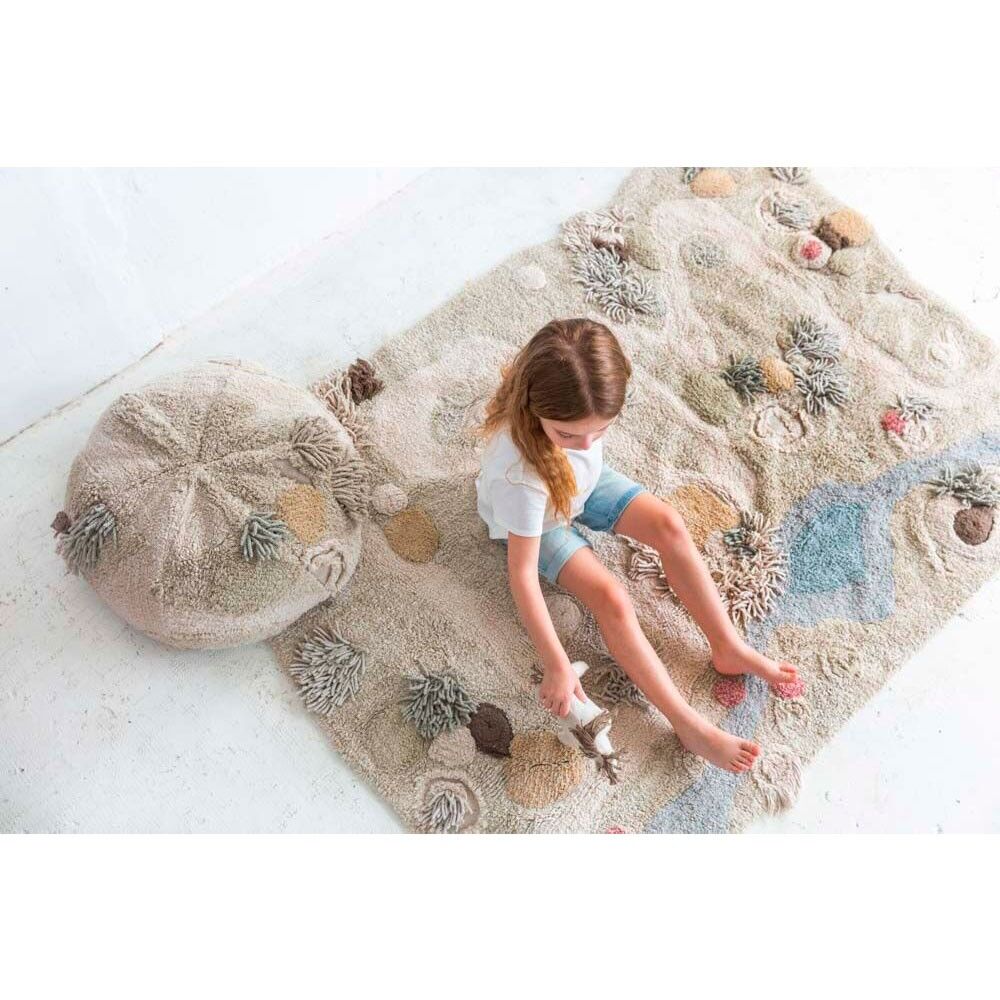 Wash Play Rug Path Of Nature