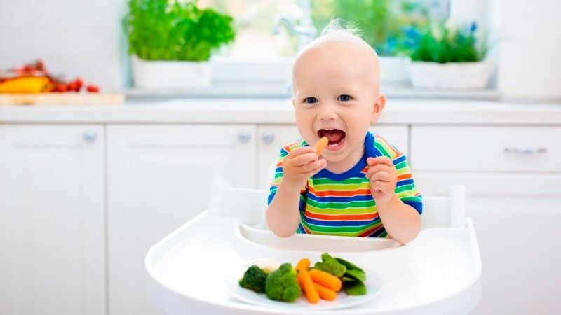 Introdução Alimentar do Bebé