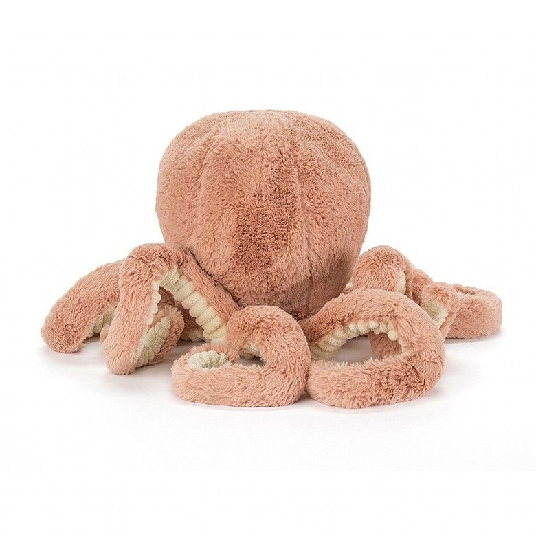 Polvo Odell Little 23cm